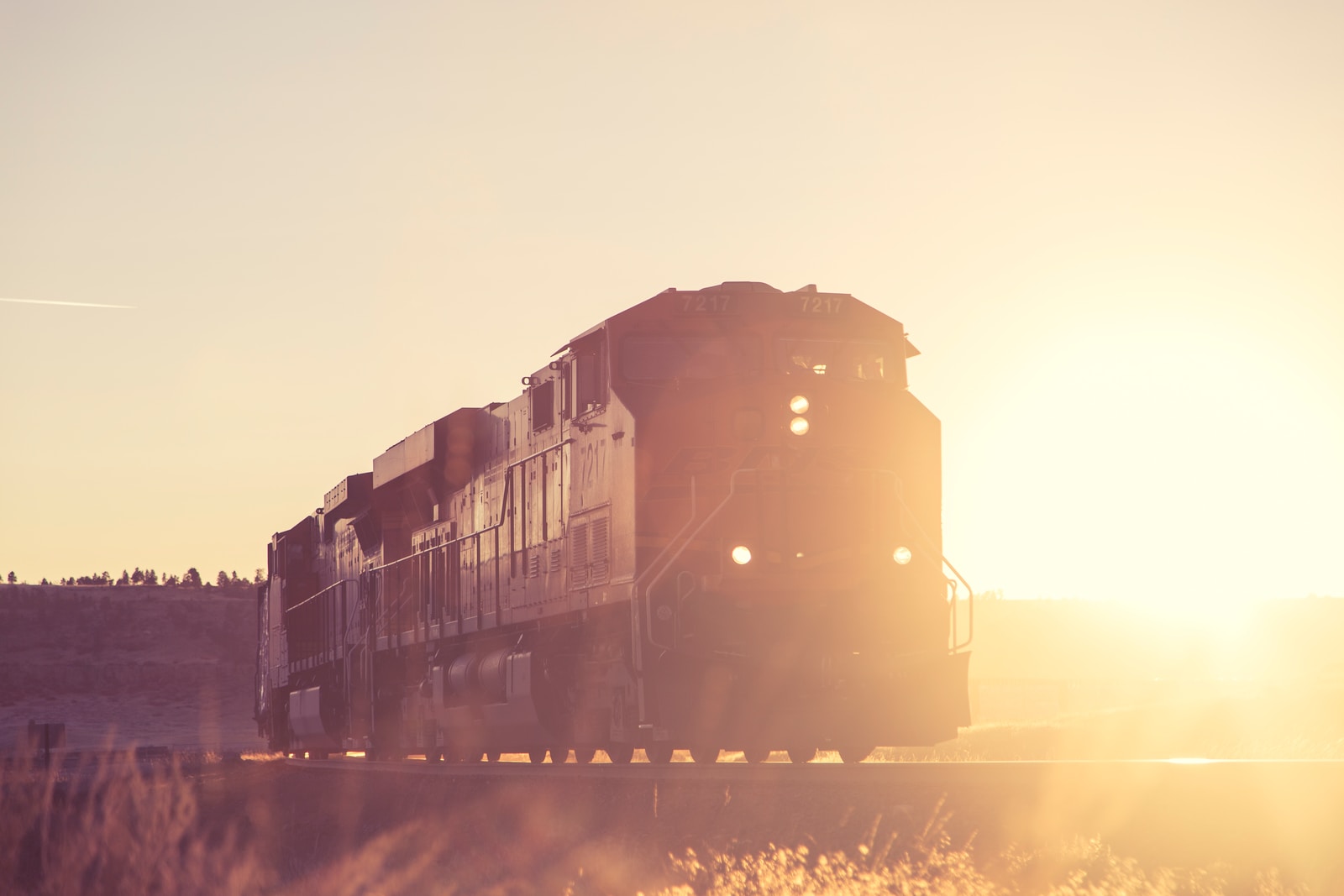 Top 10 Reasons to Work at Royal Gorge Route Railroad